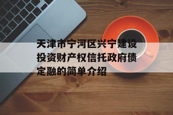 天津市宁河区兴宁建设投资财产权信托政府债定融的简单介绍