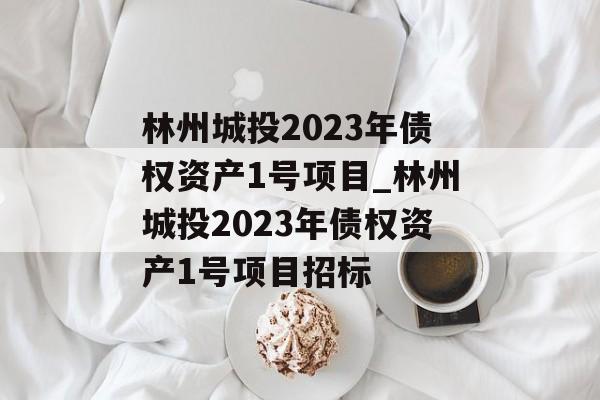 林州城投2023年债权资产1号项目_林州城投2023年债权资产1号项目招标