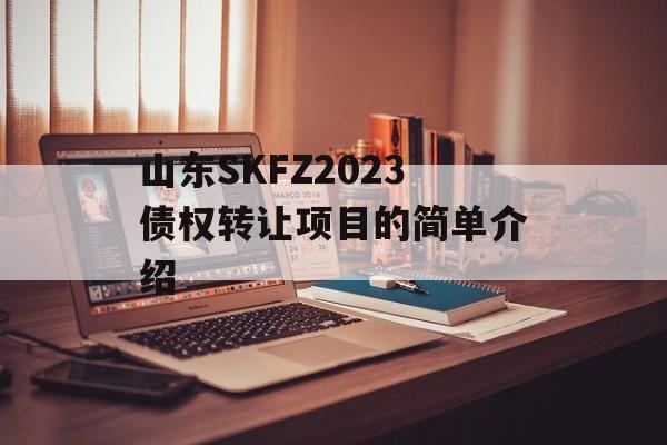 山东SKFZ2023债权转让项目的简单介绍