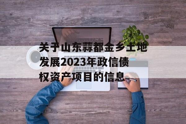 关于山东蒜都金乡土地发展2023年政信债权资产项目的信息