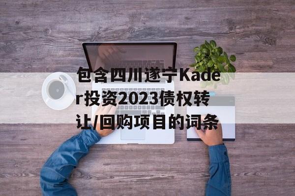 包含四川遂宁Kader投资2023债权转让/回购项目的词条