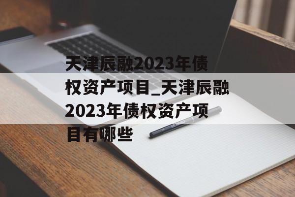 天津辰融2023年债权资产项目_天津辰融2023年债权资产项目有哪些