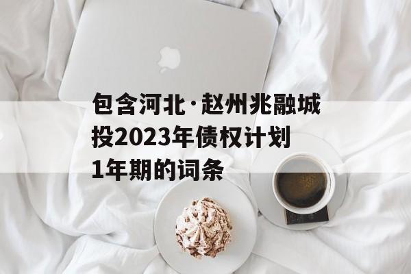 包含河北·赵州兆融城投2023年债权计划1年期的词条