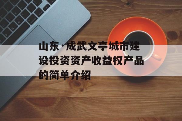 山东·成武文亭城市建设投资资产收益权产品的简单介绍