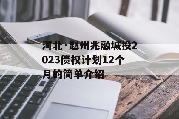 河北·赵州兆融城投2023债权计划12个月的简单介绍