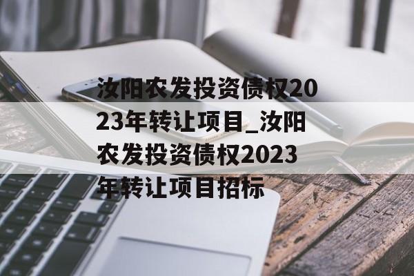 汝阳农发投资债权2023年转让项目_汝阳农发投资债权2023年转让项目招标