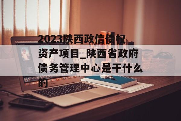 2023陕西政信债权资产项目_陕西省政府债务管理中心是干什么的