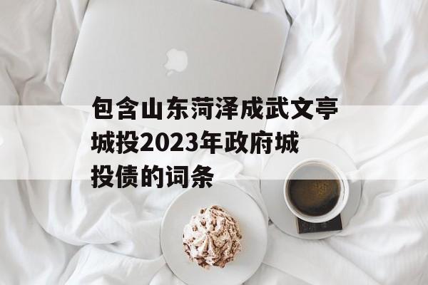 包含山东菏泽成武文亭城投2023年政府城投债的词条