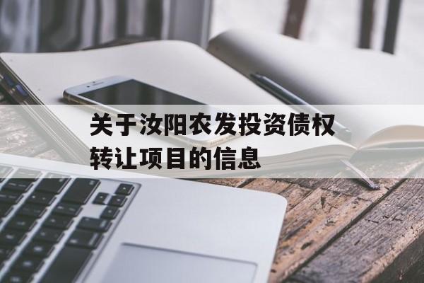 关于汝阳农发投资债权转让项目的信息