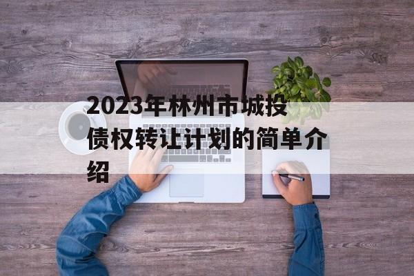 2023年林州市城投债权转让计划的简单介绍