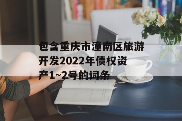 包含重庆市潼南区旅游开发2022年债权资产1~2号的词条