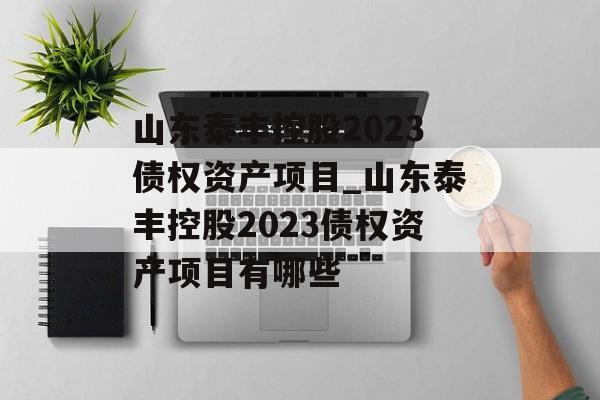 山东泰丰控股2023债权资产项目_山东泰丰控股2023债权资产项目有哪些