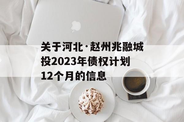 关于河北·赵州兆融城投2023年债权计划12个月的信息