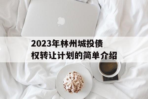 2023年林州城投债权转让计划的简单介绍