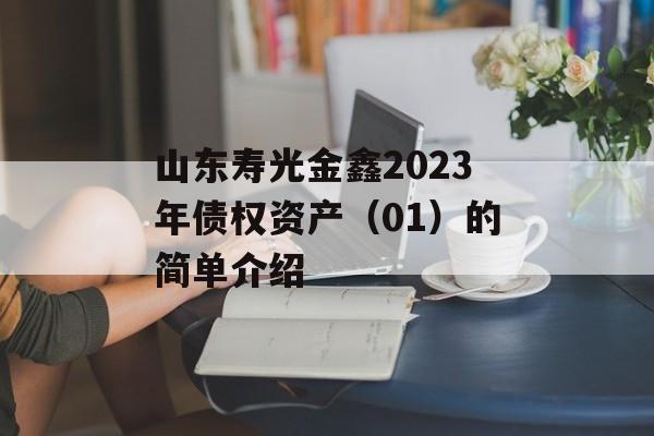 山东寿光金鑫2023年债权资产（01）的简单介绍