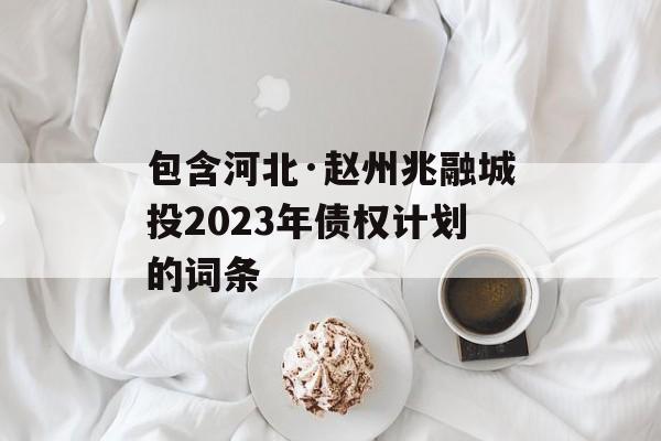 包含河北·赵州兆融城投2023年债权计划的词条