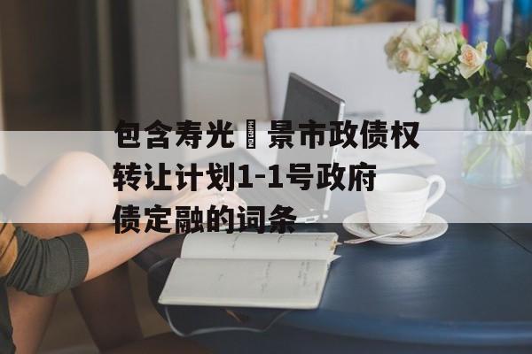 包含寿光昇景市政债权转让计划1-1号政府债定融的词条