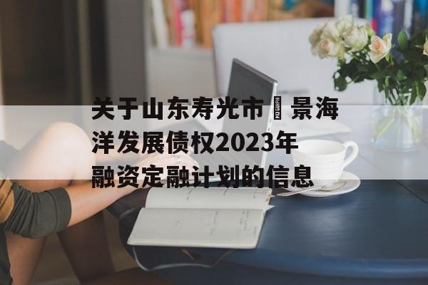 关于山东寿光市昇景海洋发展债权2023年融资定融计划的信息