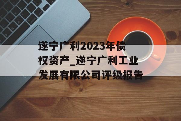 遂宁广利2023年债权资产_遂宁广利工业发展有限公司评级报告