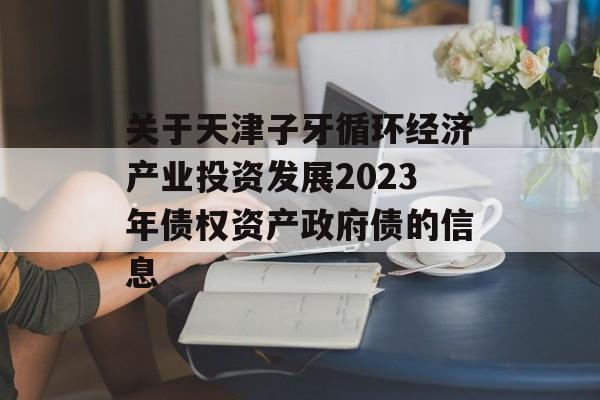 关于天津子牙循环经济产业投资发展2023年债权资产政府债的信息