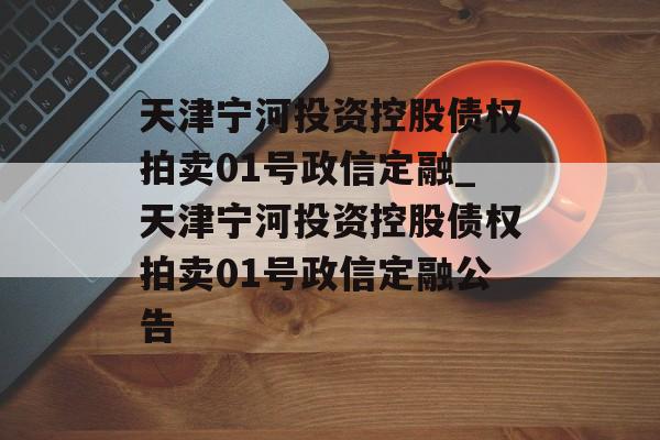 天津宁河投资控股债权拍卖01号政信定融_天津宁河投资控股债权拍卖01号政信定融公告