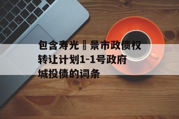 包含寿光昇景市政债权转让计划1-1号政府城投债的词条