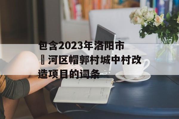 包含2023年洛阳市瀍河区帽郭村城中村改造项目的词条