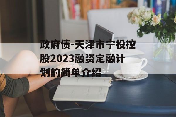 政府债-天津市宁投控股2023融资定融计划的简单介绍