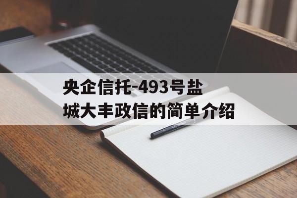 央企信托-493号盐城大丰政信的简单介绍