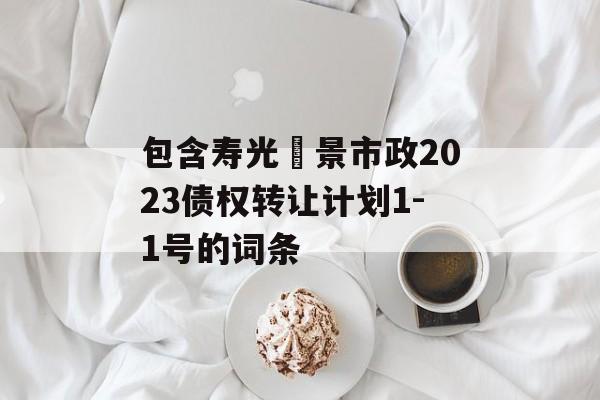 包含寿光昇景市政2023债权转让计划1-1号的词条