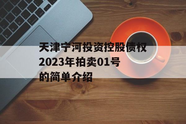 天津宁河投资控股债权2023年拍卖01号的简单介绍