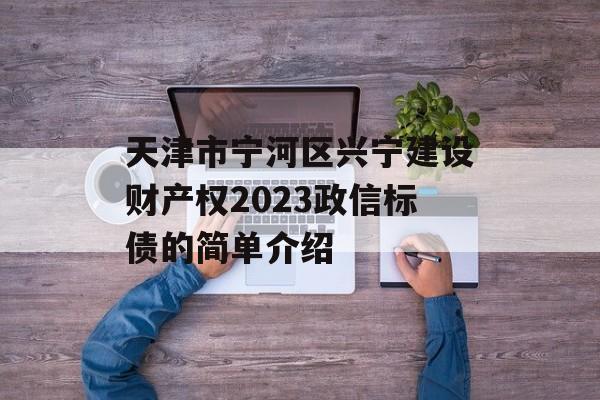 天津市宁河区兴宁建设财产权2023政信标债的简单介绍