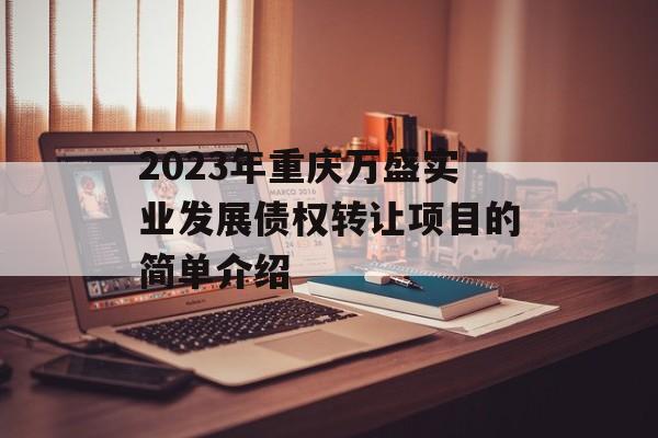 2023年重庆万盛实业发展债权转让项目的简单介绍