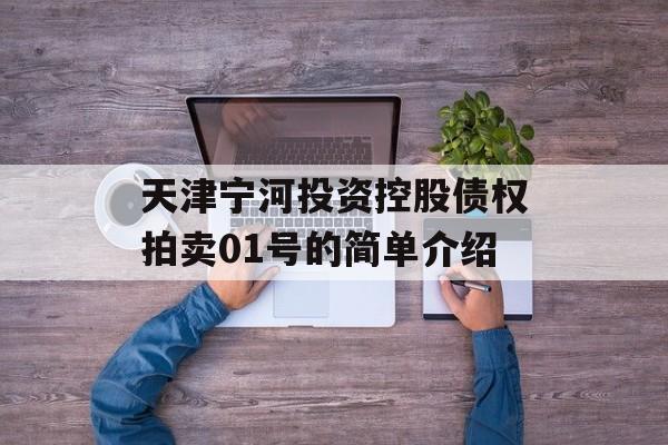 天津宁河投资控股债权拍卖01号的简单介绍