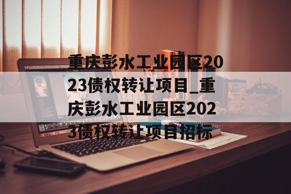 重庆彭水工业园区2023债权转让项目_重庆彭水工业园区2023债权转让项目招标