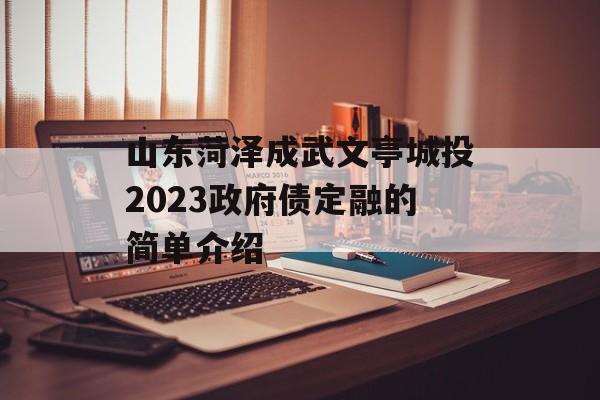 山东菏泽成武文亭城投2023政府债定融的简单介绍