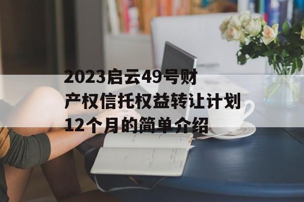 2023启云49号财产权信托权益转让计划12个月的简单介绍