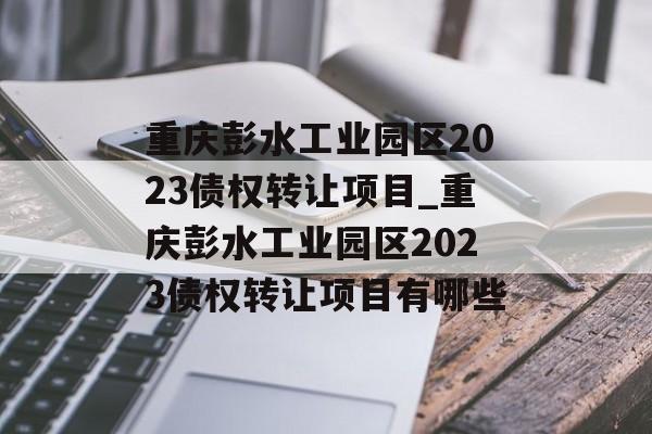 重庆彭水工业园区2023债权转让项目_重庆彭水工业园区2023债权转让项目有哪些