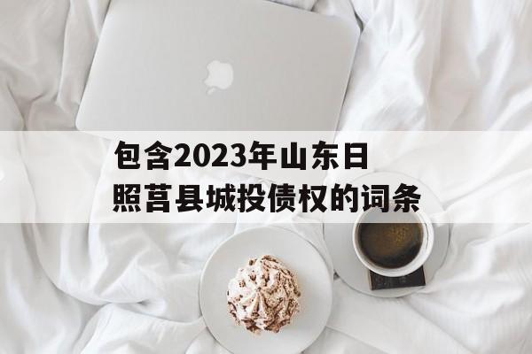 包含2023年山东日照莒县城投债权的词条