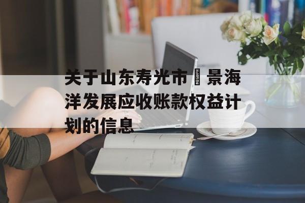 关于山东寿光市昇景海洋发展应收账款权益计划的信息