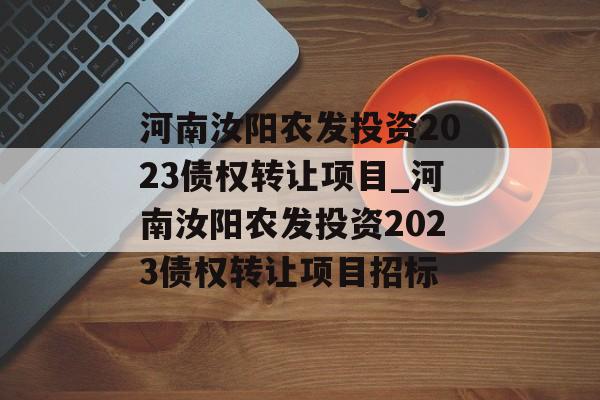 河南汝阳农发投资2023债权转让项目_河南汝阳农发投资2023债权转让项目招标