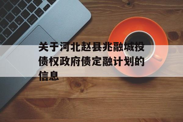 关于河北赵县兆融城投债权政府债定融计划的信息