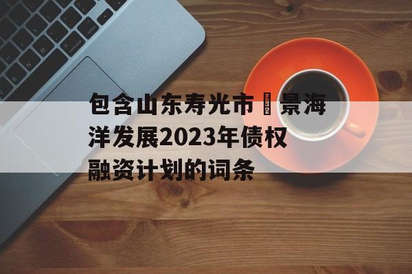 包含山东寿光市昇景海洋发展2023年债权融资计划的词条