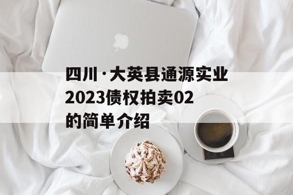 四川·大英县通源实业2023债权拍卖02的简单介绍