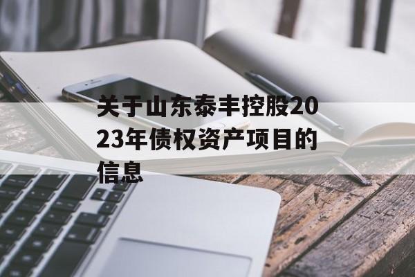 关于山东泰丰控股2023年债权资产项目的信息