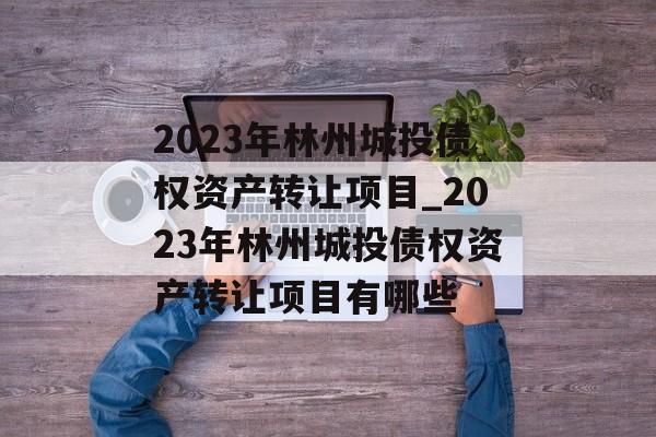 2023年林州城投债权资产转让项目_2023年林州城投债权资产转让项目有哪些