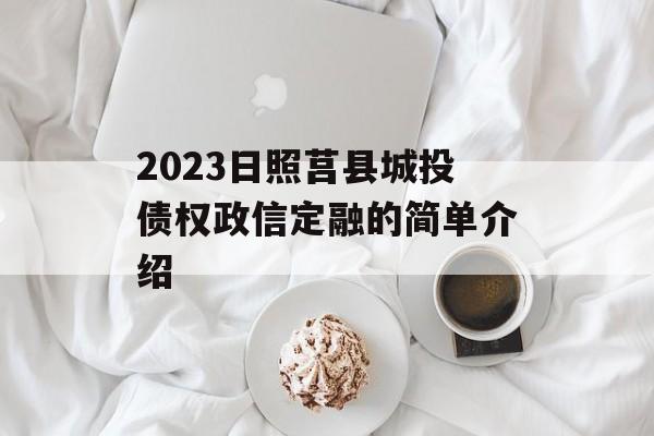 2023日照莒县城投债权政信定融的简单介绍