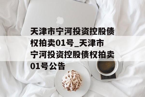 天津市宁河投资控股债权拍卖01号_天津市宁河投资控股债权拍卖01号公告