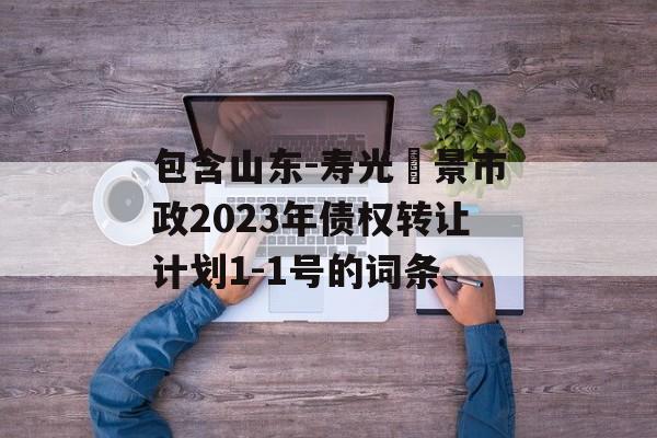 包含山东-寿光昇景市政2023年债权转让计划1-1号的词条