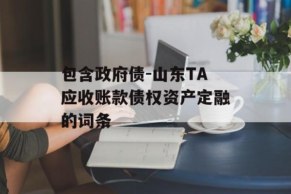 包含政府债-山东TA应收账款债权资产定融的词条